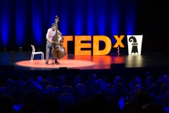 TEDx Basel 2016